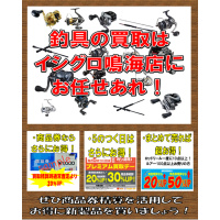 ファントムFLY GS-7